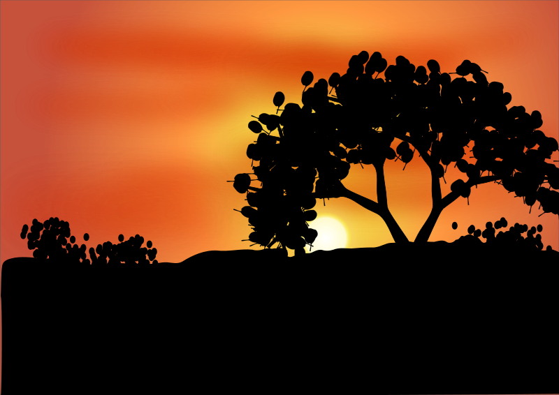 Forest clipart sunset, Forest sunset Transparent FREE for