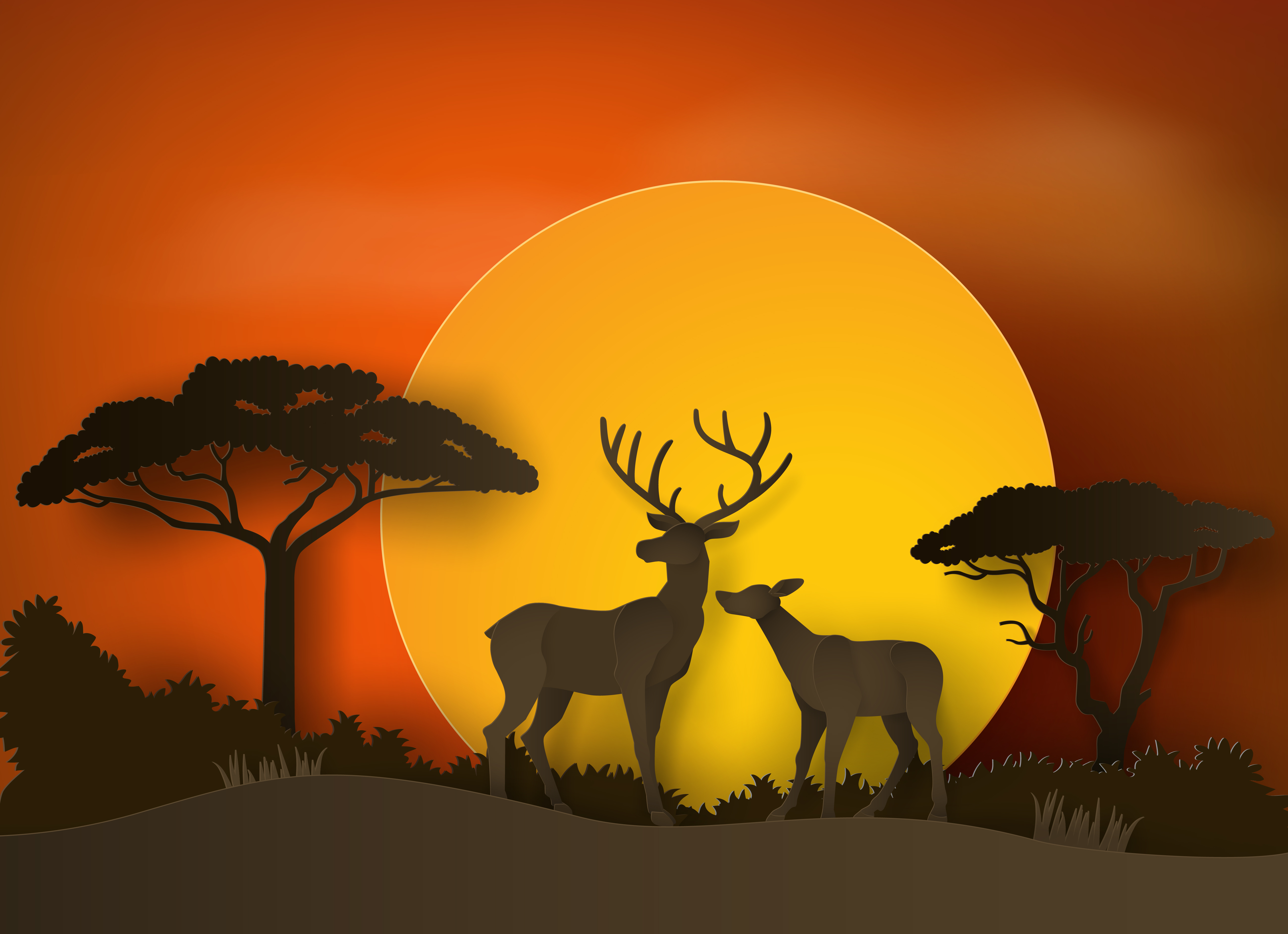 Deer in forest with sunset