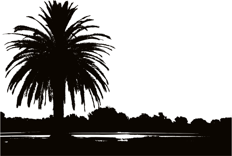 Palm Tree Silhouette clipart