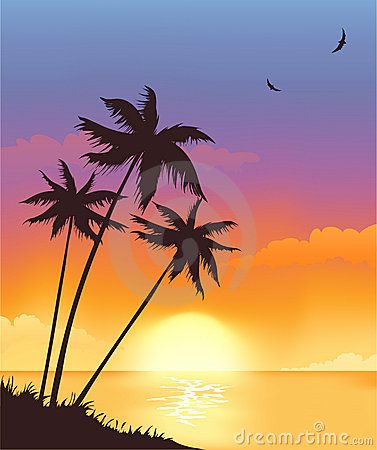 Sunset Sky Stock Illustrations