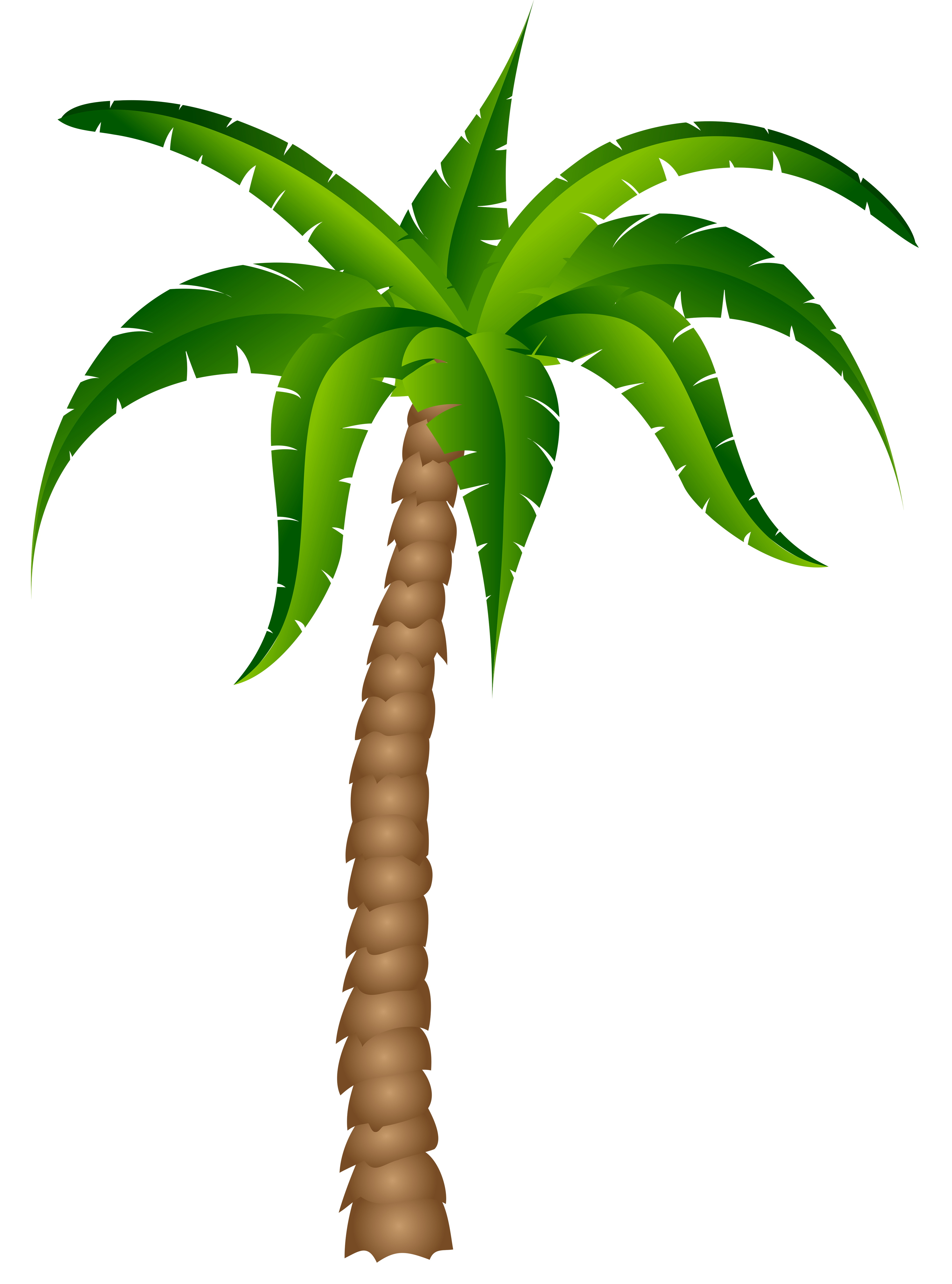 Surfboard palm tree.