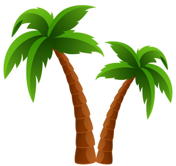 Palm tree silhouette.