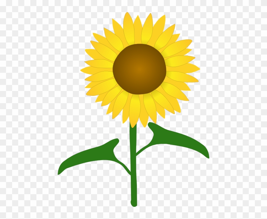 Svg Clipart Sunflower and other clipart images on Cliparts pub™