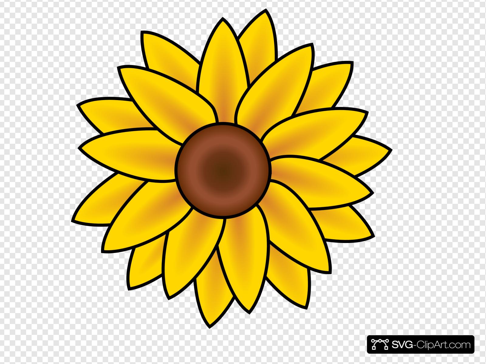 Sunflower Clip art, Icon and SVG