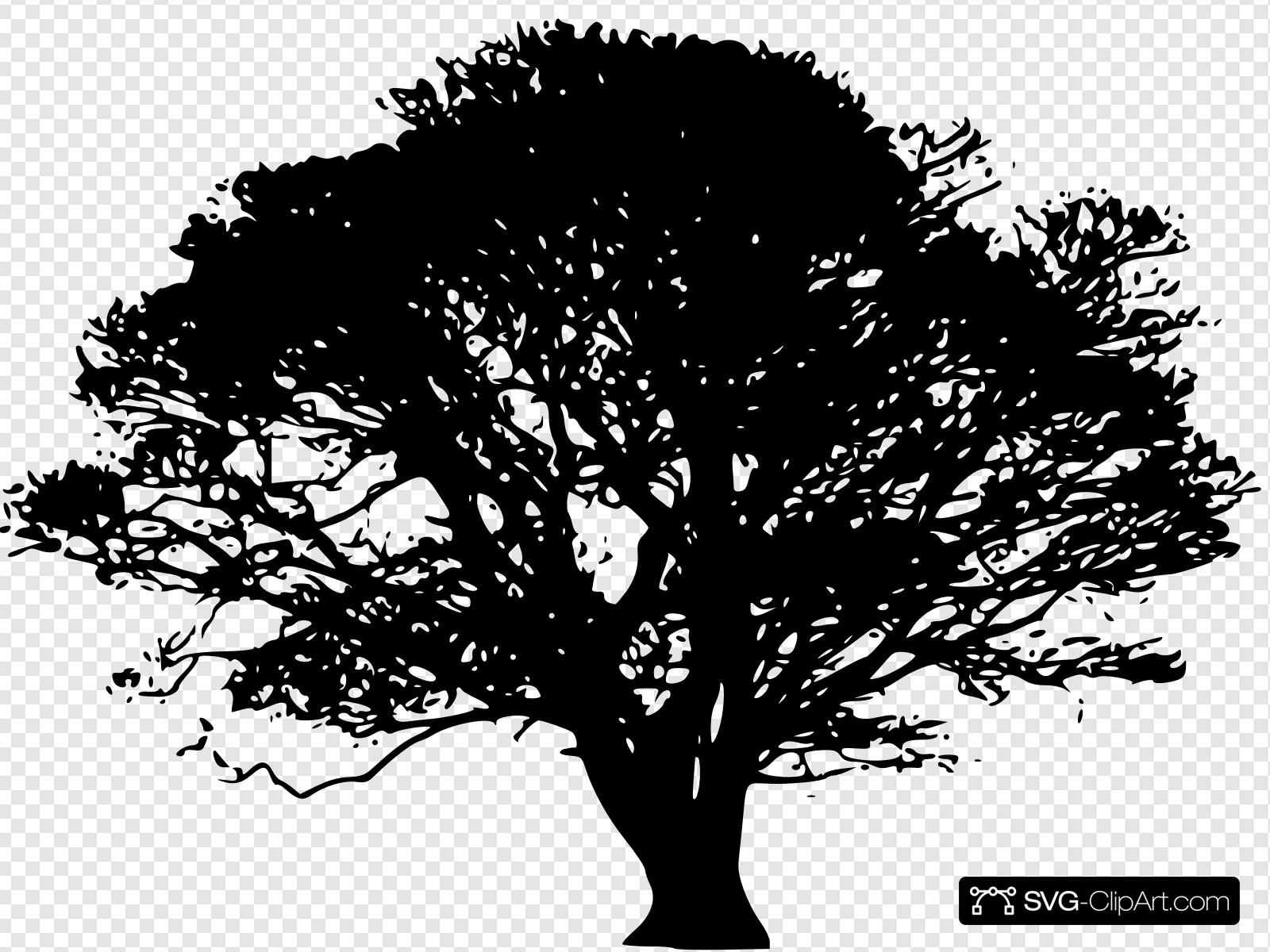 Oak Tree With Transparent Background Clip art, Icon and SVG
