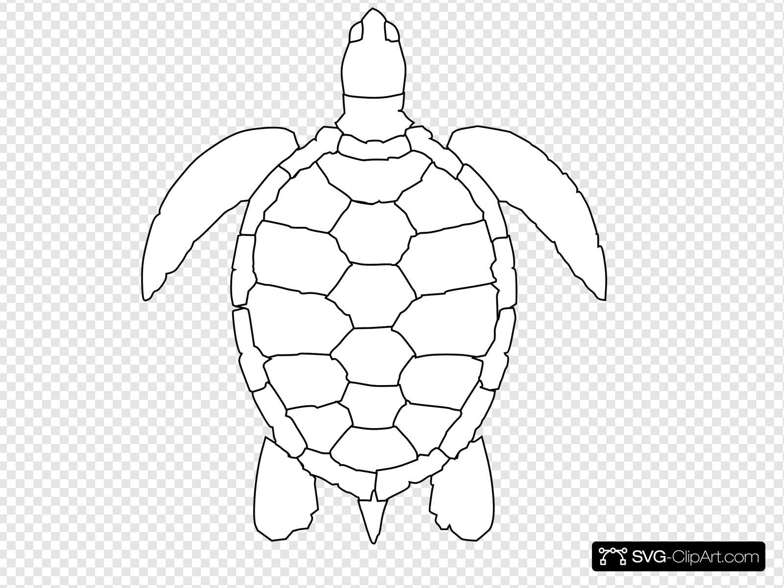 Turtle outline clip.