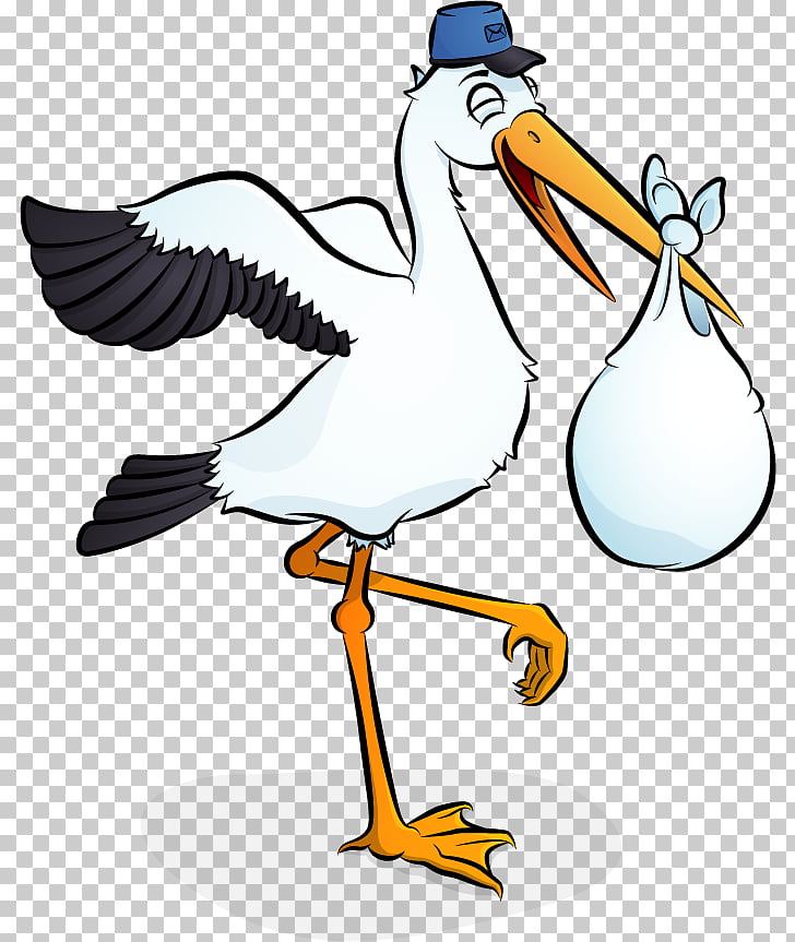 Bird Beak Duck Swan , stork baby PNG clipart