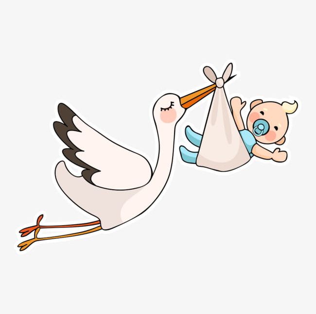 Cartoon Swan PNG, Clipart, Animal, Animal Wing, Baby