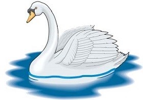 Swan bird clipart.