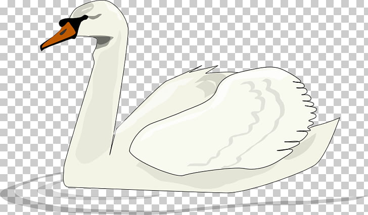 Black swan Bird , White goose PNG clipart