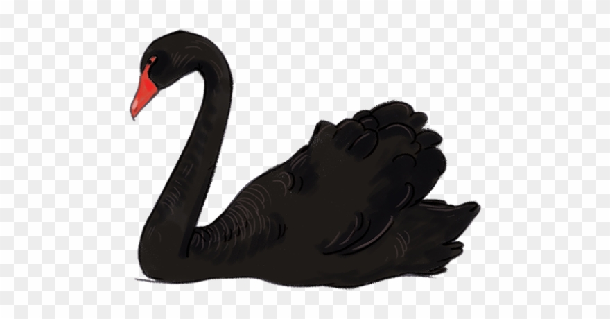 Black Swan Clipart Hans