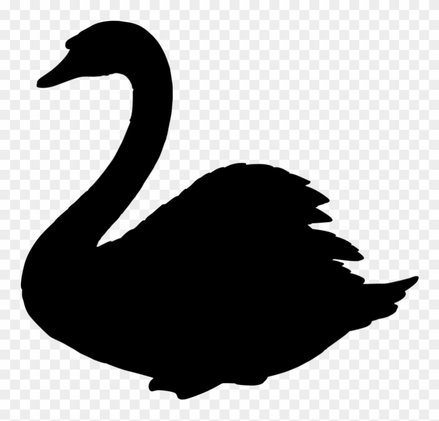 Swan silhouette swan.