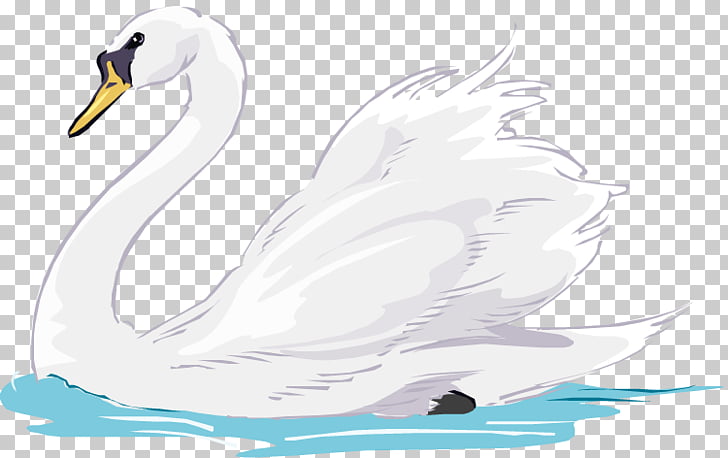 Mute swan Duck Animation , swan, white swan illustration PNG