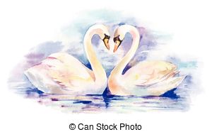 Couple of white swans clipart
