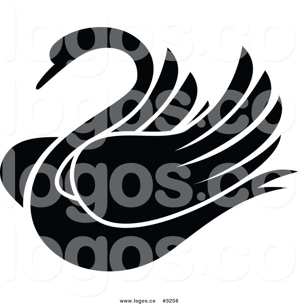 Royalty Free Vector of a Black and White Swan Bird Logo by