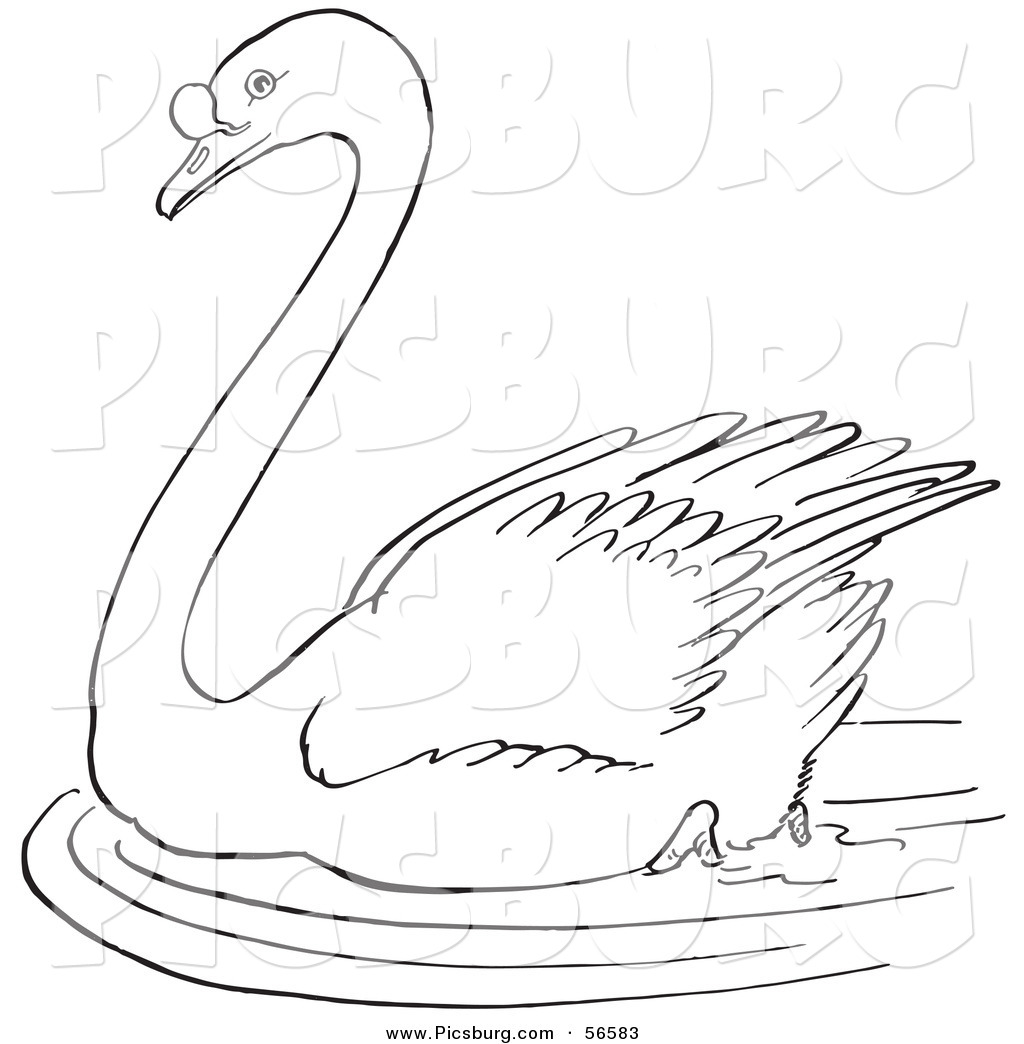 Swan line drawing.