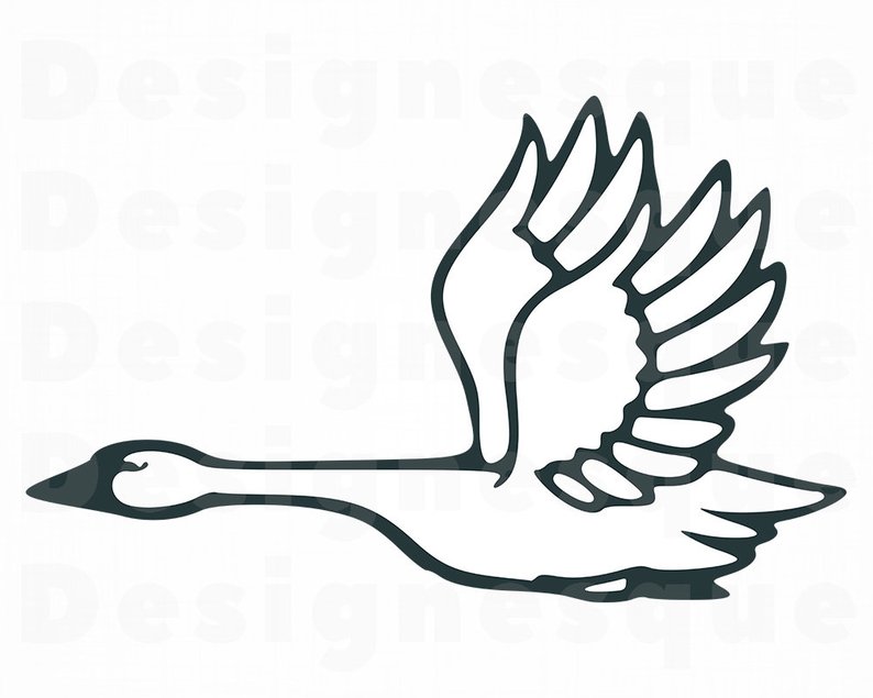 Collection swan clipart.