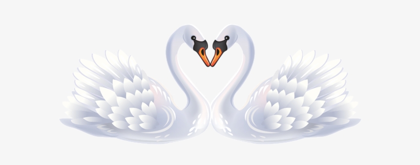 Valentine Swans Png Clipart