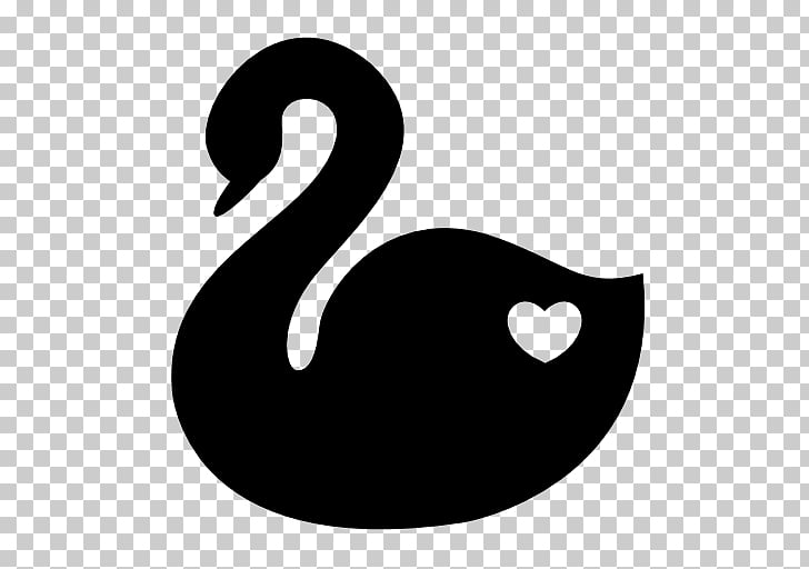 Black swan Symbol Heart , swan , swan illustration PNG