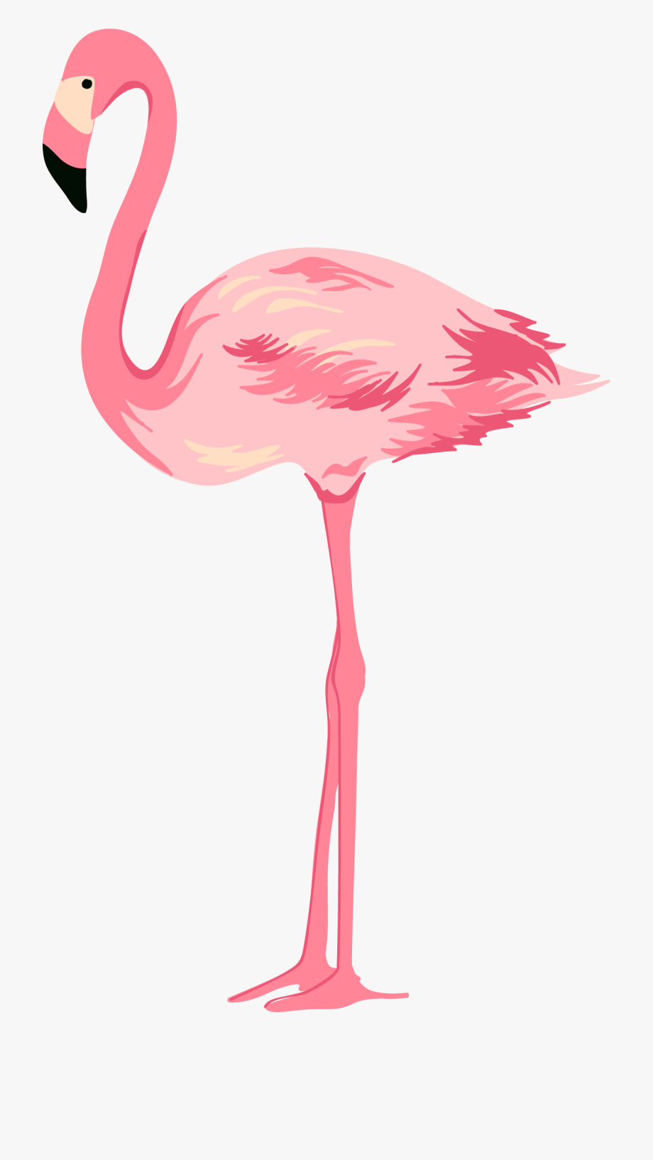 Flamingo clipart pink.