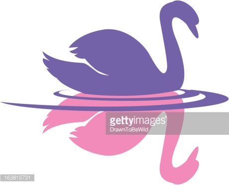 Swan With Reflection premium clipart