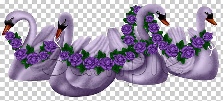 Lavender Lilac Violet Water Bird Purple PNG, Clipart