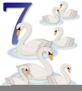 Swans swimming clipart.