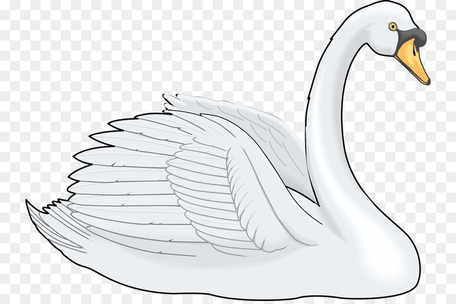 Free swan transparent.