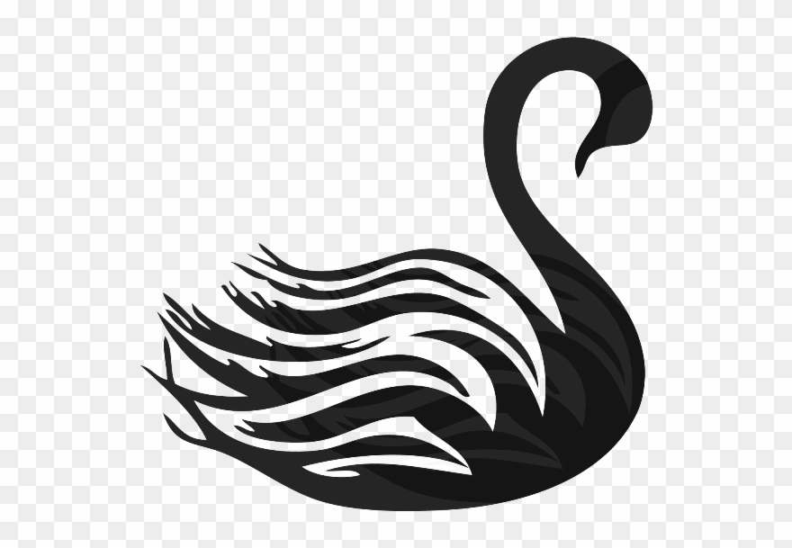 Black swan clipart.