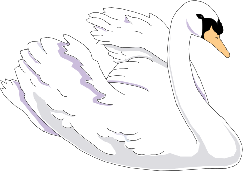 Swan png images.