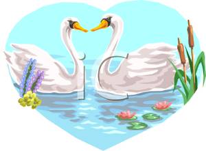 Two Swans Forming a Heart with Their Necks Clipart Image