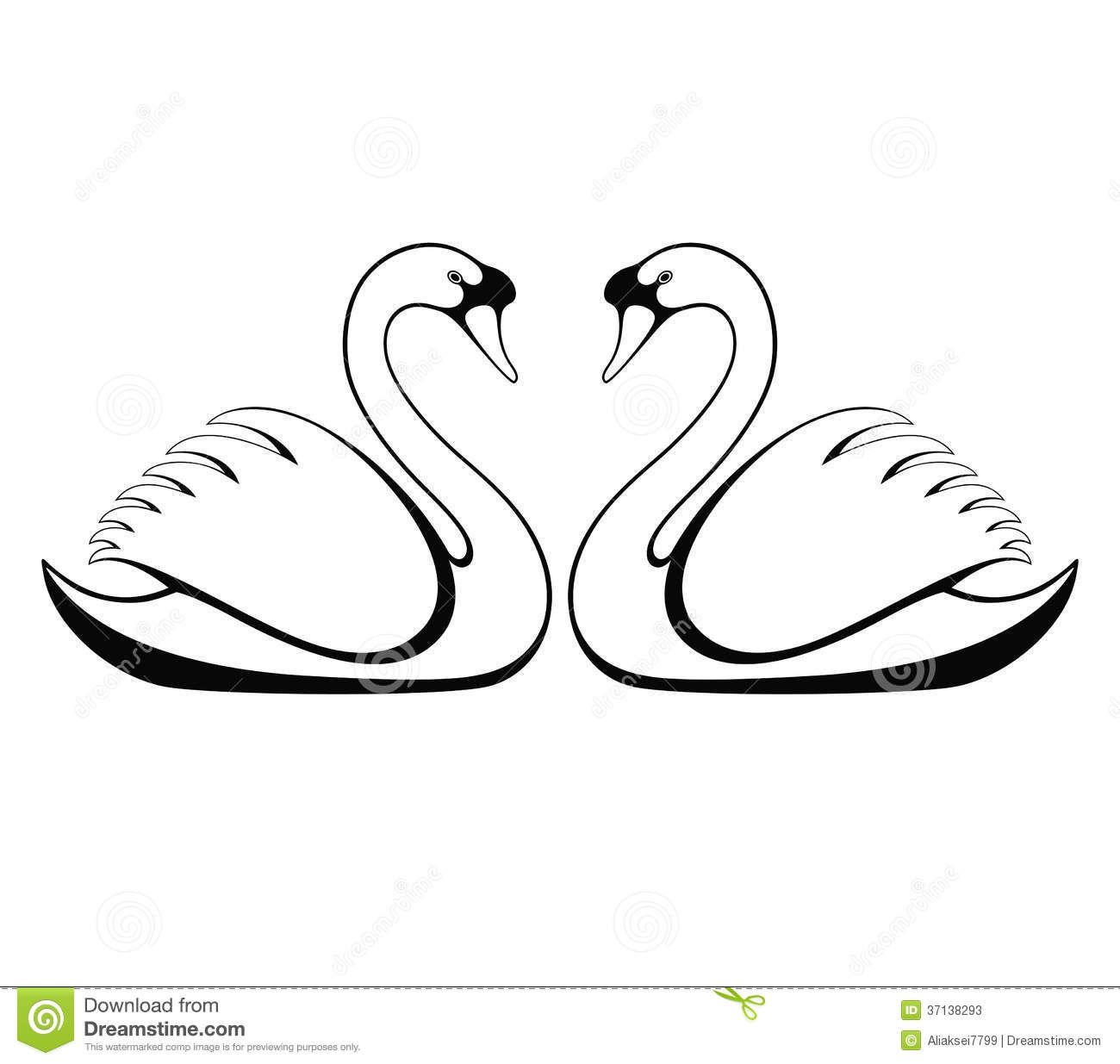 Swan stock illustrations.