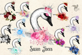Swan Faces clipart, watercolor swans, Spring mothers day clip art graphics