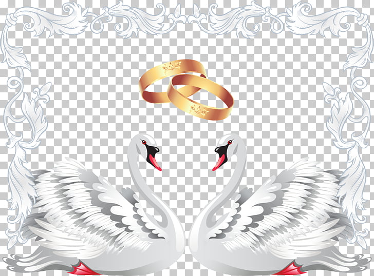 Wedding invitation Black swan , Swan wedding ring wedding
