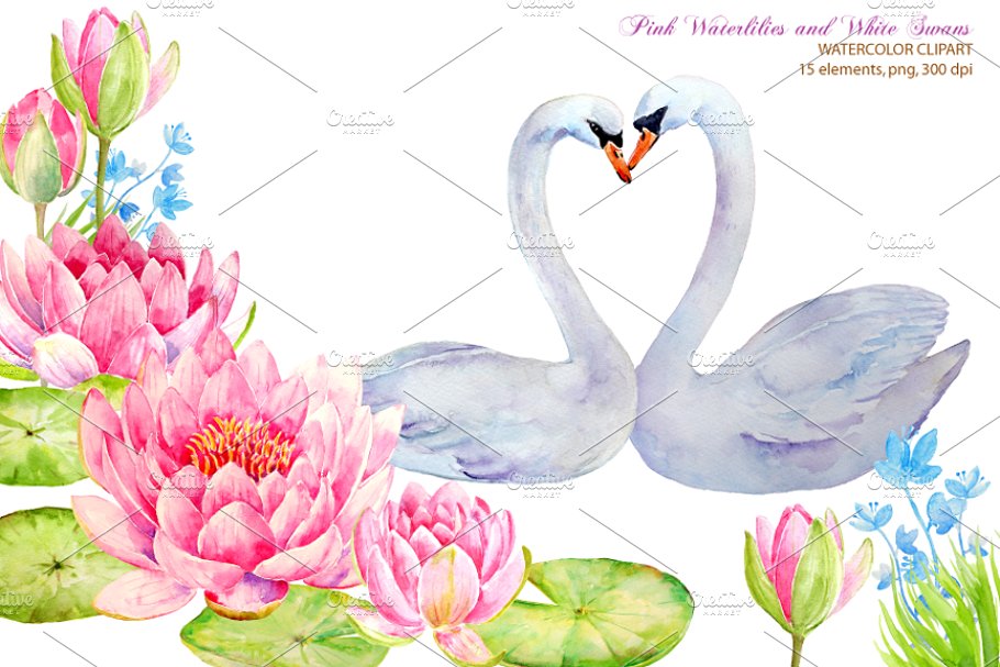 Wedding Clipart Waterlily and Swans
