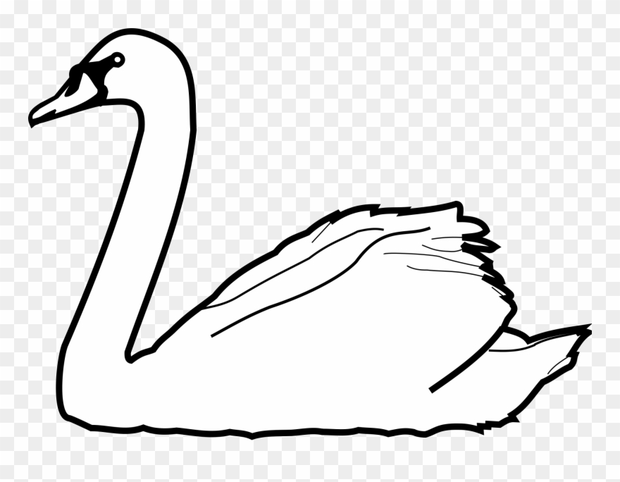 Swans Drawing At Getdrawings