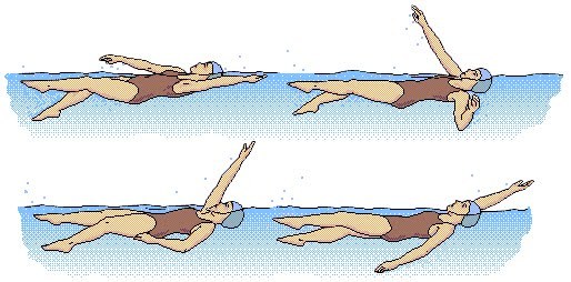 Backstroke swimming clipart.