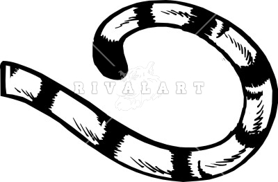 Tail clipart black and white
