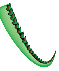 Tail Clipart dragon