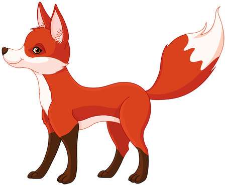 Fox tail clipart