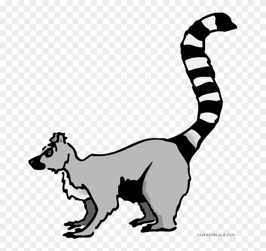 tail clipart lemur