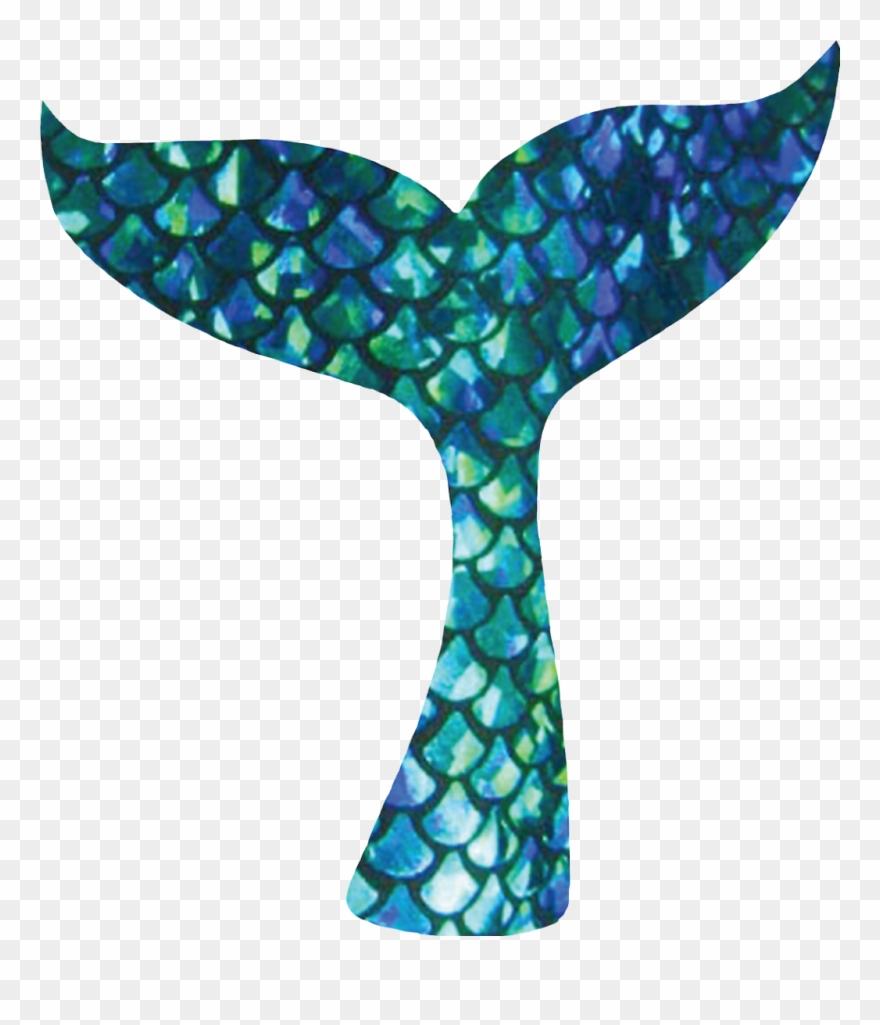 Mermaidtail Mermaid Mermaidgirl Mermaidlife Seashellsst