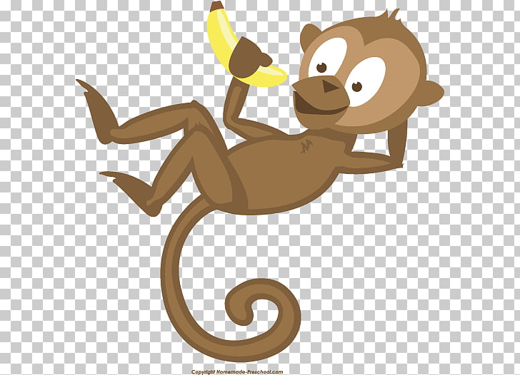 Primate Monkey Animal Tail , cute monkey PNG clipart