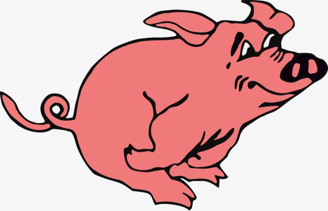 Pig tail clipart