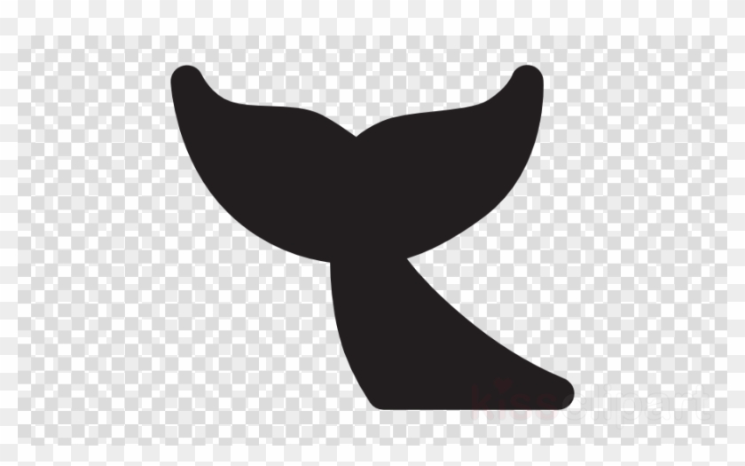 Whale tail vector.