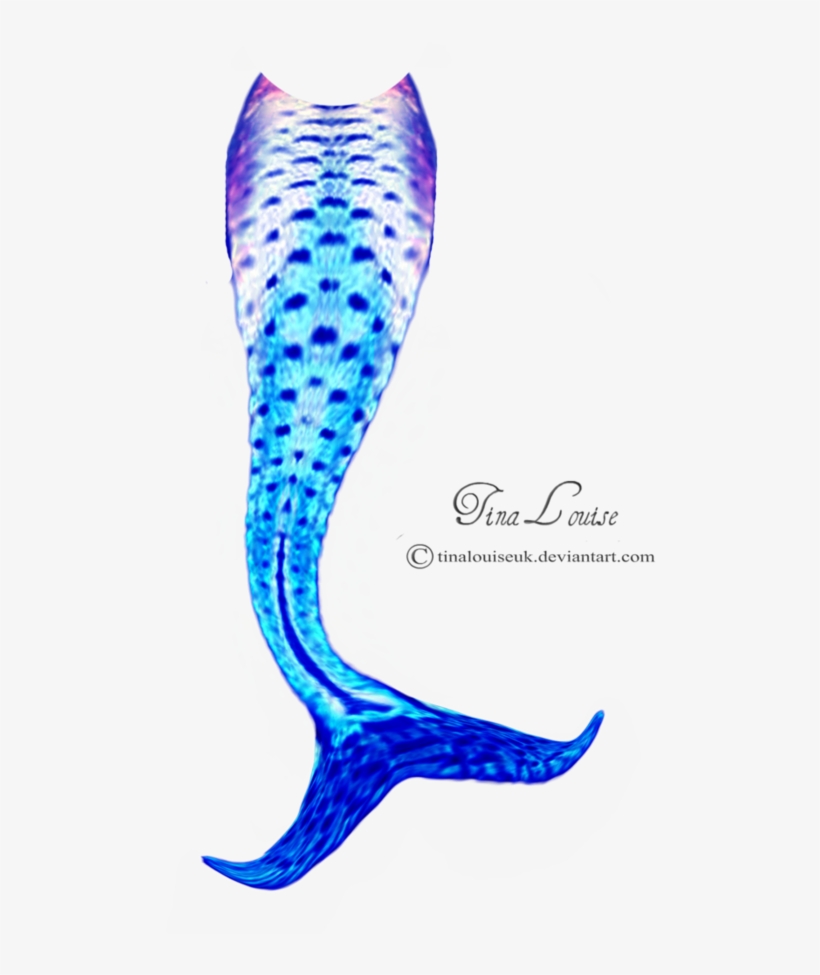 Mermaid tail clipart transparent background tails clip art