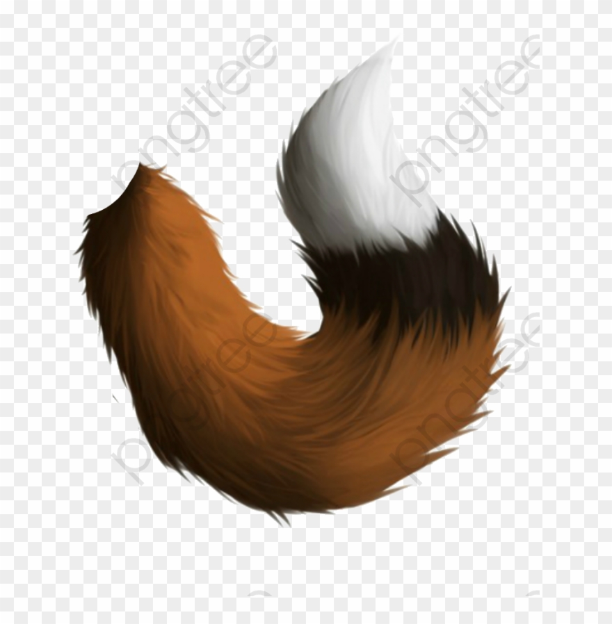 Fox tail clipart.