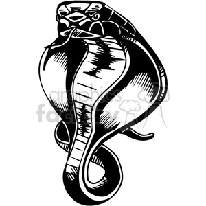 Cobra tattoo design.