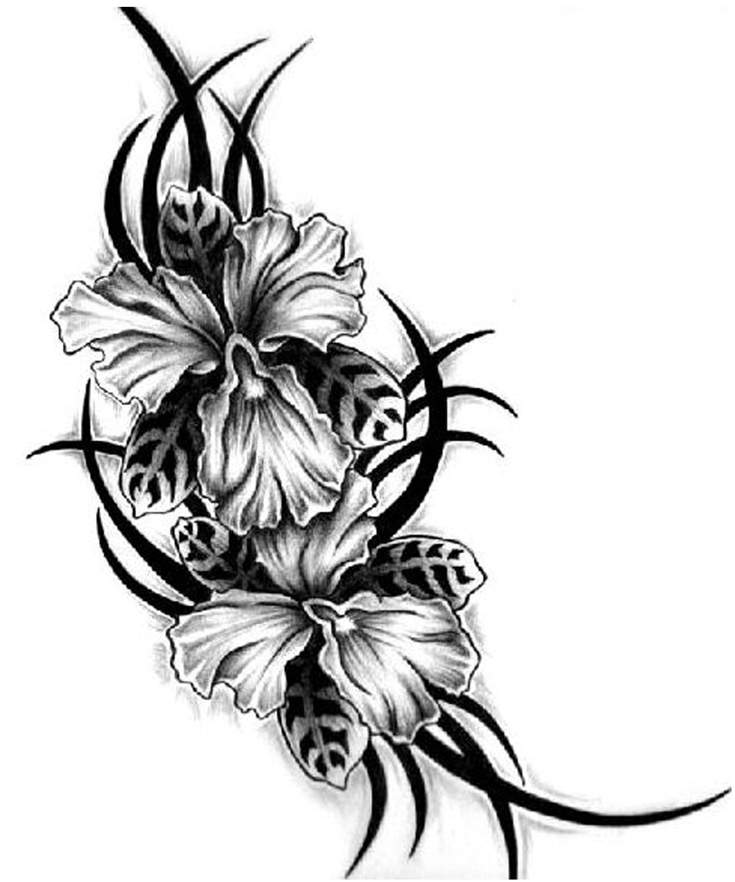 Free Pictures Of Flower Tattoo Designs, Download Free Clip