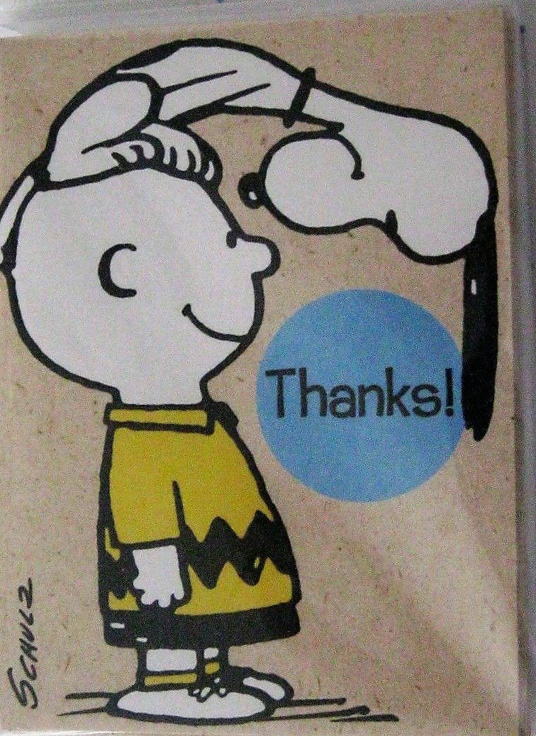 Hallmark Peanuts Snoopy Charlie Brown Package